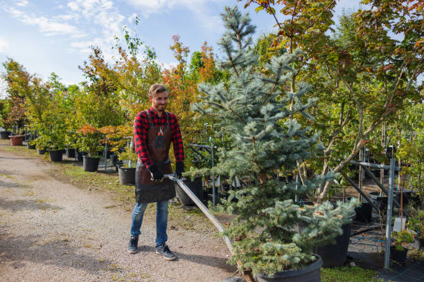 Tree Service Company in Hooper, UT